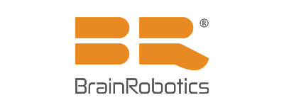 Brain robotics